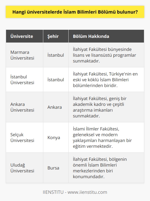 Marmara Üniversitesi, İstanbul Üniversitesi, Gazi Üniversitesi, Yıldız Teknik Üniversitesi, İstanbul Medeniyet Üniversitesi, Ankara Üniversitesi, Selçuk Üniversitesi, Necmettin Erbakan Üniversitesi, İzmir Ekonomi Üniversitesi, Adnan Menderes Üniversitesi, Beykent Üniversitesi, Ege Üniversitesi, Uludağ Üniversitesi, Boğaziçi Üniversitesi gibi üniversitelerde İslam Bilimleri Bölümü bulunmaktadır.