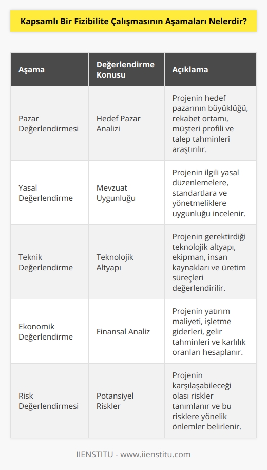 Kapsamlı bir fizibilite çalışması şu konularda araştırmasını derinleştirmelidir: Pazar değerlendirmesi, yasal değerlendirme, teknik ve ekonomik değerlendirme mutlaka yapılmış olmalıdır. 