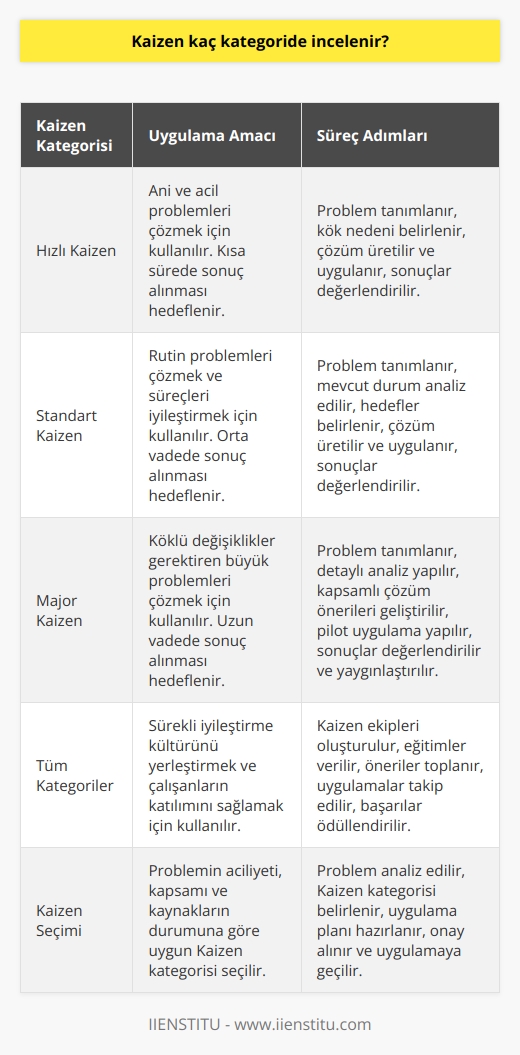 Hızlı, standart ve majör olmak üzere 3 kategoriye ayırabiliriz. Problemlerin ve işletmelerin ihtiyacına yönelik olarak biri seçilir ve uygulamaya alınır. Süreç adımları takip edilerek devamlı iyileşme sağlanmaya çalışılır.