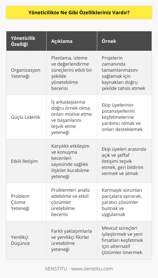 -Organizasyon yeteneği: Planlama, izleme ve değerlendirme gibi süreçleri etkili bir şekilde yönetebilmem. -Güçlü liderlik: İş arkadaşlarıma doğru örnek olarak, onları motive ederek ve onların başarısını teşvik ederek liderlik edebilmem. -  : Özellikle karşılıklı etkileşim ve konuşma becerilerim sayesinde,  kurabilmem. -Problem çözme yeteneği: Problemleri analiz edebilmem ve çözümler üretebilmem. -  : Farklı yaklaşımlarla ve yenilikçi fikirler üretebilmem. -Karar verme yeteneği: Verilere göre etkin ve hızlı kararlar alabilmem. -İşe odaklanma: Zorlayıcı koşullarda bile odaklanarak çalışabilmem.