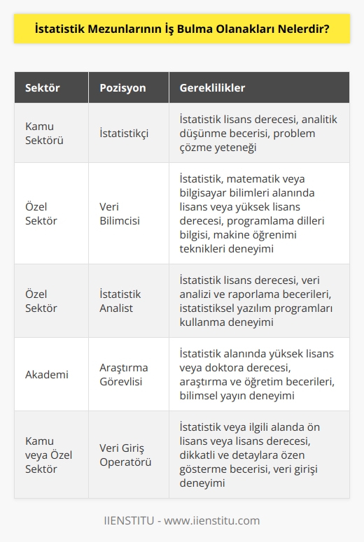 İstatistik mezunları, çok sayıda farklı sektördeki iş imkanlarına sahiptir. İstatistik mezunları, kamu sektöründeki istatistikçi pozisyonlarına başvurabilirler. Ayrıca, özel sektördeki veri bilimcileri, istatistik analistleri, araştırma görevlileri, veri giriş operatörleri ve diğer istatistiksel pozisyonlar için başvuruda bulunabilirler. İstatistik mezunları, kamu sektöründe çalışanlar için özel şirketler tarafından sağlanan pozisyonlarla da kariyerlerini güçlendirebilirler. Ayrıca, akademik kariyerlerine devam etmek isteyen istatistik mezunları, istatistik alanında lisans veya yüksek lisans programlarına başvurabilirler.