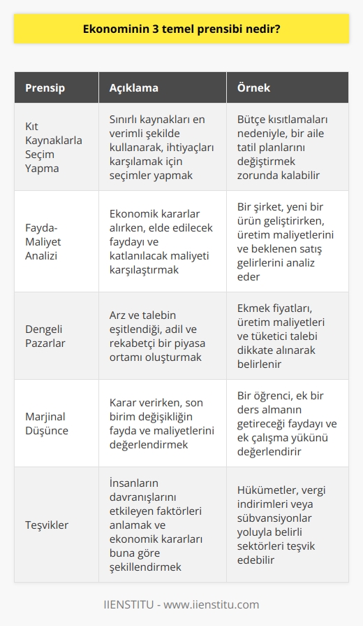 Ekonominin temel prensipleri üzerine yapılan araştırmalar, bu alandaki kavramları ve işleyişleri çözümlemeye yardımcı olan prensipleri ortaya koyar. Ekonominin üç temel prensibini şu başlıklar altında inceleyebiliriz: kıt kaynaklarla seçim yapma, fayda maliyet analizi ve dengeli pazarlar.  Kıt Kaynaklarla Seçim Yapma  İlk prensip kıt kaynaklarla seçim yapmayı ifade eder. Ekonominin temelinde kaynakların kıtlığı ve insanların sınırsız ihtiyaçları bulunur. Böyle bir durumda, üreticiler ve tüketiciler, kullanılabilir kaynakları en etkili ve verimli şekilde kullanarak seçimlerini yapmak zorundadır. Bu prensip, bireyler ve toplumlar için en önemli kararları alırken dikkate alınması gereken bir temel ilkedir.  Fayda-Maliyet Analizi  İkinci temel prensip olan fayda-maliyet analizi, bireylerin ve işletmelerin yapacakları yatırımlar, tüketim ve üretim süreçleri ile ilgili seçimlerde bulunurken, elde edecekleri fayda ile yapacakları maliyete göre hareket etmelerini gerekli kılmasıdır. Bu analiz, tüm ekonomik faaliyetlerde maliyetin en aza indirgenerek, elde edilecek faydanın en yüksek seviyeye çıkarılmasıyla gerçekleştirilir.  Dengeli Pazarlar  Ekonominin üçüncü temel prensibi olan dengeli pazarlar, üreticilerin ve tüketicilerin talepleri ve beklentileri doğrultusunda rasyonel bir denge sağlamak amacıyla kurulmuştur. Pazarda arz ve talep dengesi, ürün ve hizmet fiyatlarının belirlenmesinde ve tüketimi teşvik ederek ekonomik büyümeyi sürdürmekte kritik bir rol oynar. Dengeli pazarlar, üreticiler ve tüketiciler arasında adil ve rekabetçi bir ortamın sağlanmasına katkıda bulunur.  Sonuç olarak, ekonominin üç temel prensibinin; kıt kaynaklarla seçim yapma, fayda-maliyet analizi ve dengeli pazarlar olduğunu söyleyebiliriz. Bu prensipler doğrultusunda yapılan ekonomik faaliyetler ve alınan kararlar, bireysel ve toplumsal düzeyde refah seviyesini arttırmayı ve ekonomik büyümeyi desteklemeyi amaçlar.