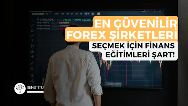 Finans ve muhasebe eğitimiyle forex şirketlerini değerlendiren yatırımcı görseli.