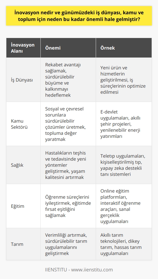 İnovasyonun Önemi ve Günümüz Toplumunda Merkezi Rolü  İnovasyon, toplumun ve ekonomik çevrenin sürekli değişen dinamiklerinden yola çıkarak iş dünyası, kamu ve toplum için yeni değerler yaratma sürecidir. İnovasyon, düşünceler, süreçler ve ürünlerle yeni uygulama alanları geliştirme eğiliminde olan doğal bir gelişim sürecidir. İş dünyası, kamu ve toplum açısından önemi ise, rekabet avantajı sağlamak, sürdürülebilir büyüme ve kalkınma hedeflerine ulaşmak ve bunun yanında sosyal problemleri çözmeye yönelik olarak yeni çözüm yolları sunmaktır.  Günümüzde İnovasyonun Öne Çıkan Nedenleri  Teknolojik gelişmeler ve globalleşme, günümüz iş dünyasının ve kamu sektörünün temel öğeleridir. Bu iki faktör, inovasyonun bu kadar önemli hale gelmesinde öncü rol oynamıştır. Teknoloji, sürekli gelişimle birlikte güncel yenilikçilik becerilerini de gerektirir. Teknoloji ve globalleşme nedeniyle, günümüz dünyasında sınırların kalktığı bir ortamda rekabet etmek için daha fazla inovasyona ihtiyaç duyulmaktadır.  İnovasyonun İş Dünyasında Yeri  İş dünyası, günümüzde hızla artan rekabet koşulları nedeniyle inovasyonu benimsemek zorundadır. İnovasyon, şirketlerin ve markaların fark yaratabilmeleri, müşterileri memnun etmeleri ve pazarda ayakta kalabilmeleri adına önemlidir. Bu süreçte, inovasyon ve sürdürülebilir büyüme hedefleri doğrultusunda geliştirilen ürünler, hizmetler ve süreçler iş dünyasında başarıya ulaşmada kritik faktörlerdir.  Kamu ve Toplum İçin İnovasyon  Kamu sektörü ve toplum, günümüzde karşı karşıya oldukları sosyal sorunlar ve çevresel meseleler karşısında çözüm üretmek adına inovasyona büyük önem vermektedir. Sosyal ve çevresel problemlere sürdürülebilir çözümler üretmeye yönelik olarak inovasyonun benimsenmesi, toplumun düşünce ve uygulama çerçevesinde dönüşüm yaşanmasına katkı sağlar. Bu bağlamda, kamu ve toplum için inovasyon sosyal fayda ve yaşam kalitesinin yükseltilmesi anlamında büyük önem taşır.  Sonuç olarak, inovasyon günümüzde iş dünyası, kamu ve toplum için büyük öneme sahiptir. Teknolojinin hızla ilerlemesi ve dünya genelinde yaşanan sosyal ve çevresel sorunlar, inovasyonun olmazsa olmaz olarak kabul edilmesine katkı sağlamaktadır. Bu bağlamda, rekabet avantajı sağlamak, sürdürülebilir büyüme ve kalkınmayı hedeflemek ve topluma değer yaratmak adına inovasyon sürekli gelişmekte olan bir süreç olarak benimsenmelidir.
