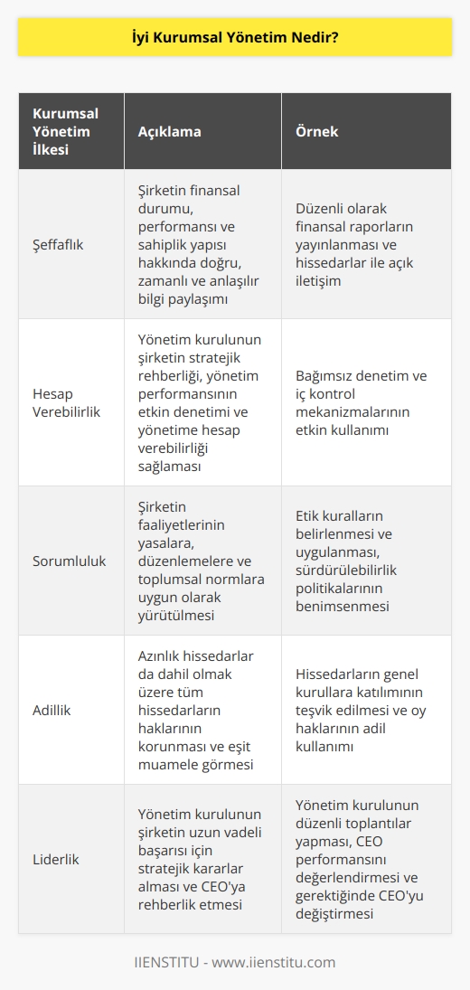 İyi bir kurumsal yönetim yöneticilerin zor   sı, tavsiye vermesi ve katılmadıkları şeyleri belli etmeleri anlamına gelir. Eğer şirket CEO’sunun şirket ve paydaşların çıkarı adına performans gösterdiklerine inanmıyorlarsa CEO’yu işten bile çıkarabilirler.