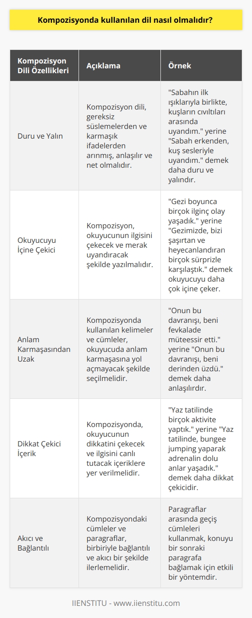 Kompozisyon yazarken kullanılan dil duru ve yalın olmalıdır. Okuyucuyu içine çekmeli ve anlam karmaşasından uzak olmalıdır. Dikkat çeken içeriklere değinilebilir.