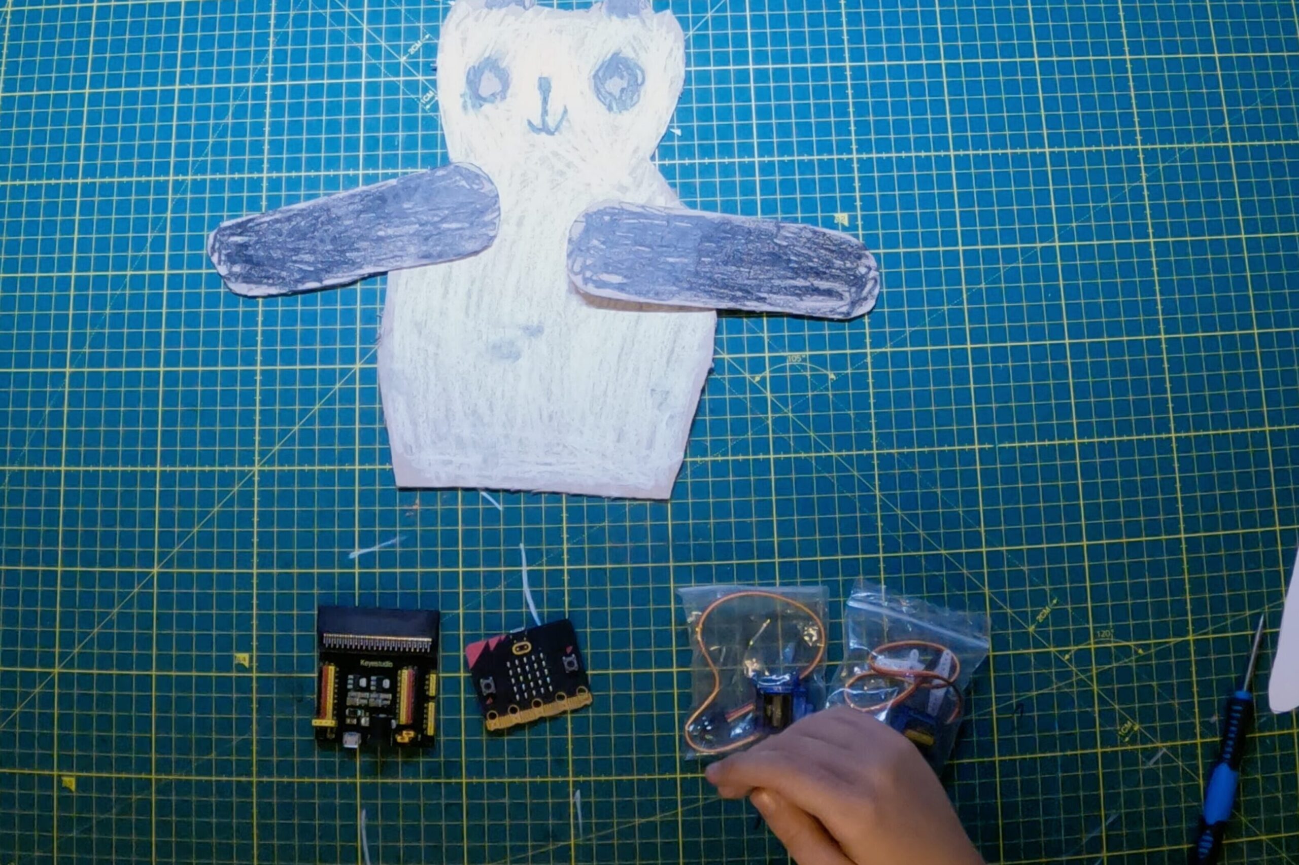 Assemble the Electronics