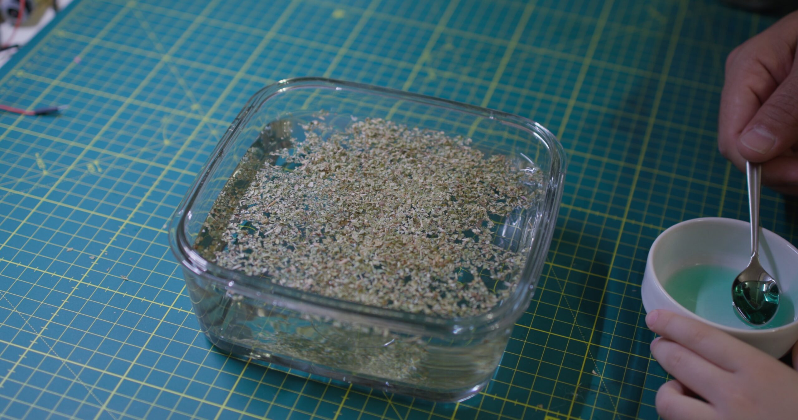 Learn Surface Tension with Pepper and Soap – Easy At-Home Science