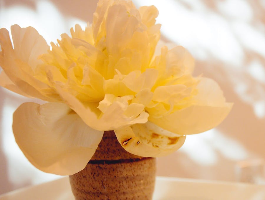 floral arrangement
