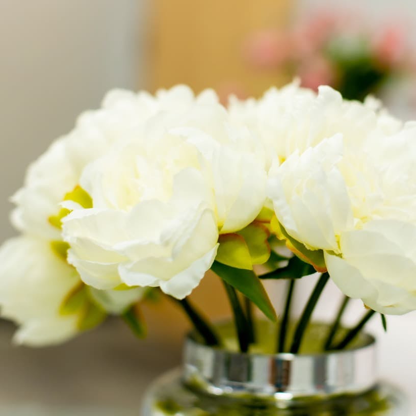A bouquet of white flowers
