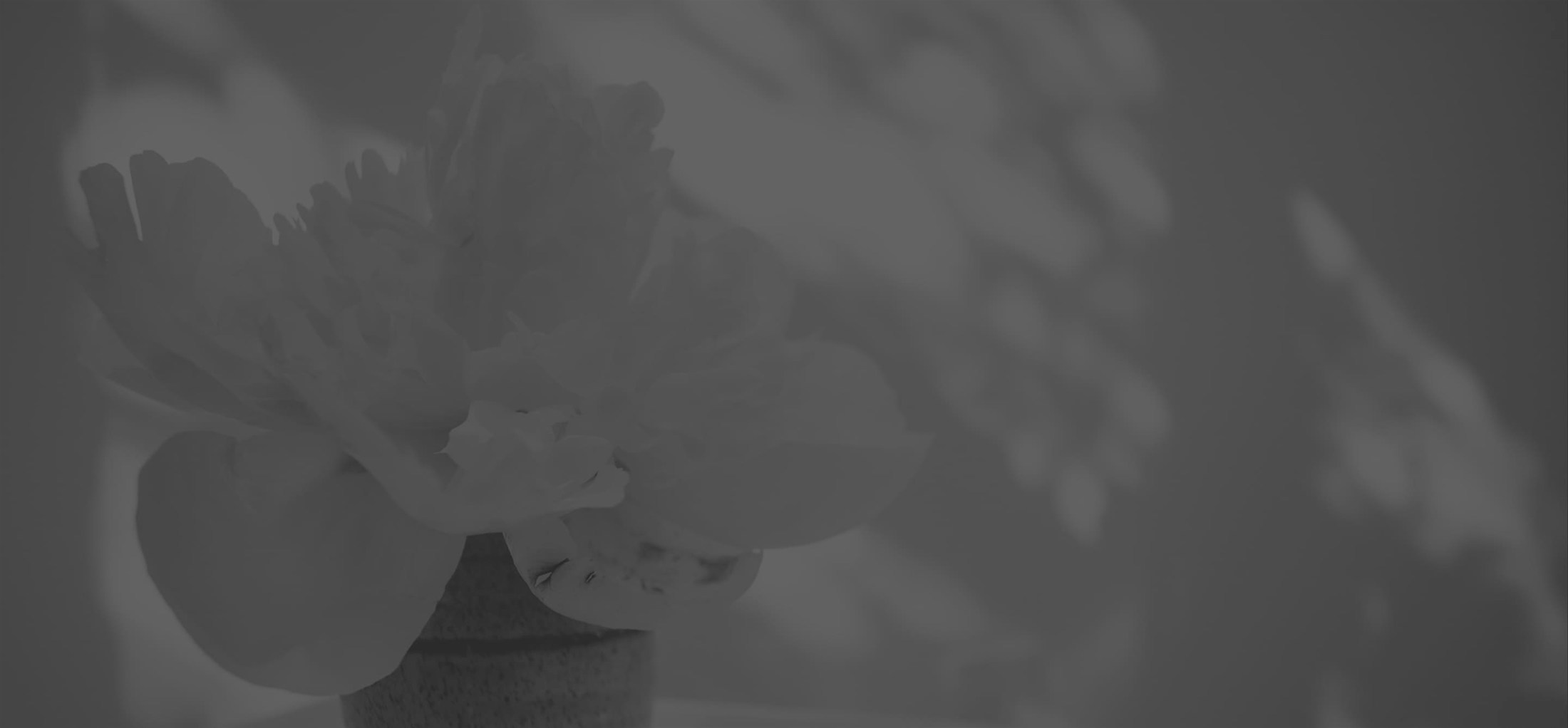 Banner media