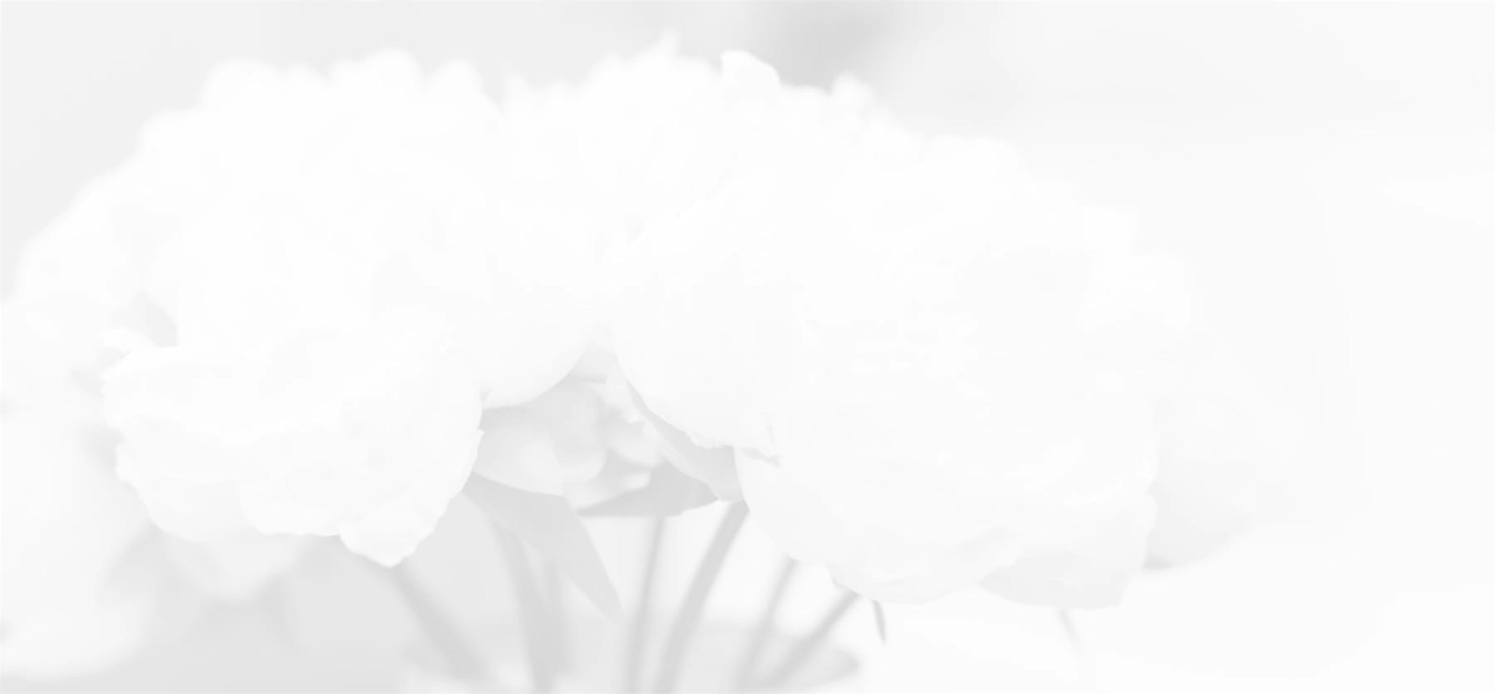 Banner media
