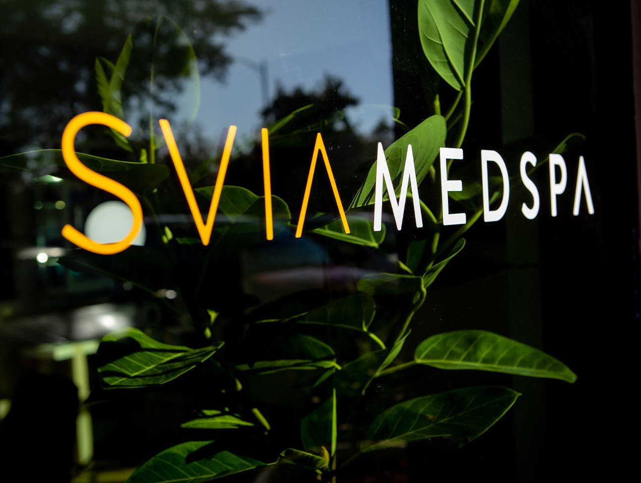 close up of SVIA signage