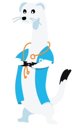 Handinscan x Supercharge case illustration - ermine, the mascot