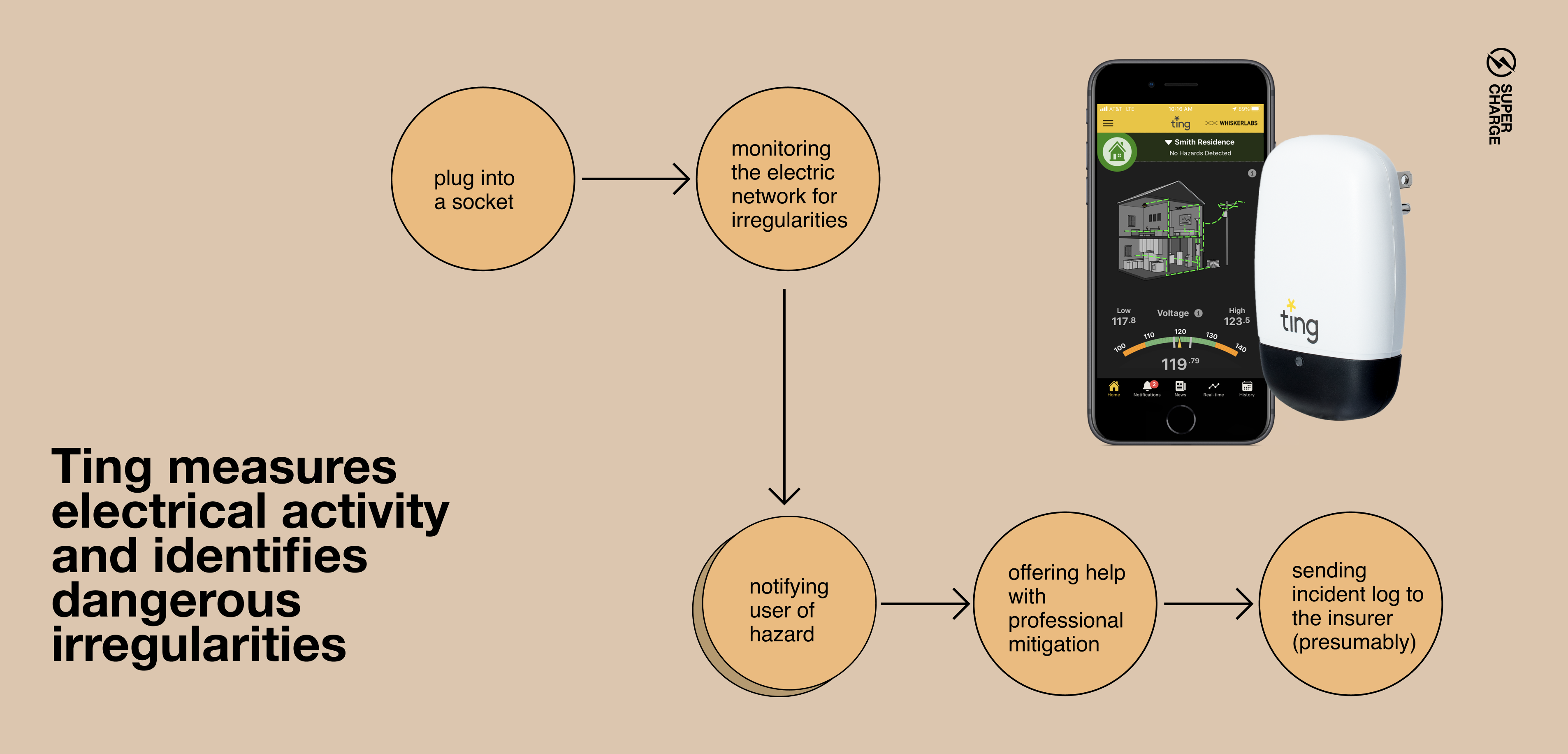 Ting's work process