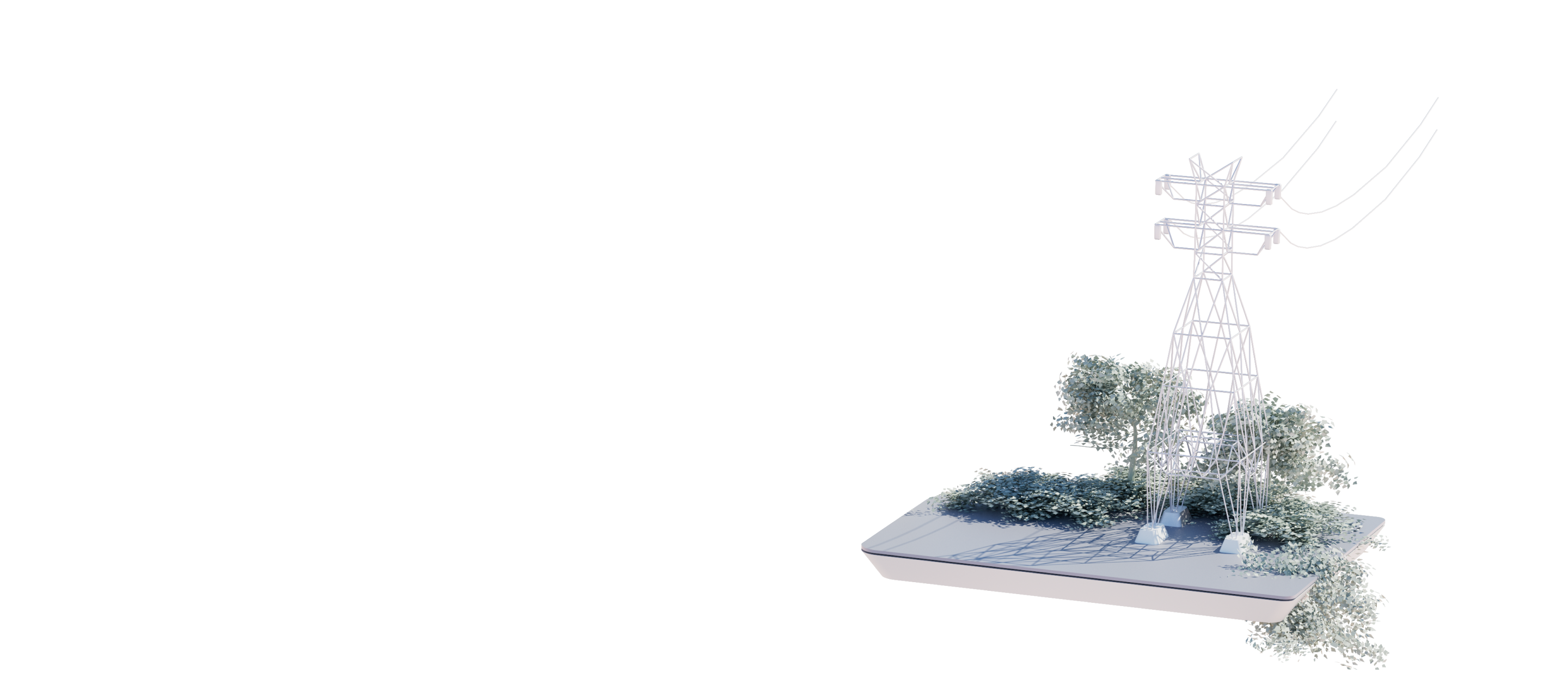 market nomination managment