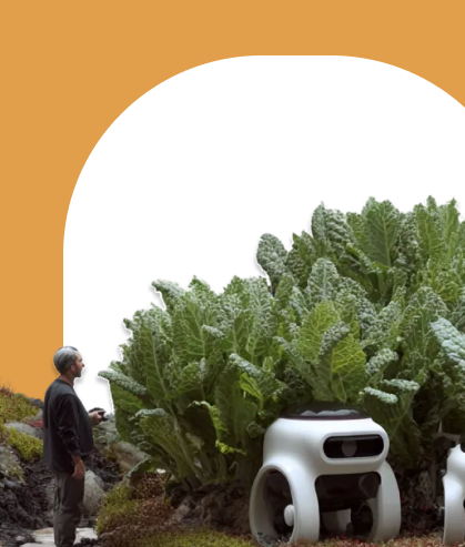 IoT based rick management