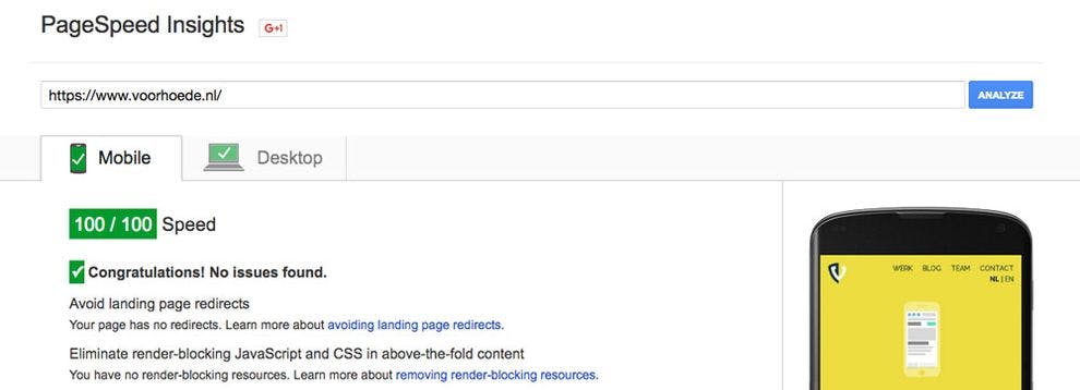 PageSpeed insights results for voorhoede.nl showing 100 out of 100