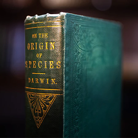 Image of a first edition of Charles Darwin's 'On the Origin of Species' available for shared ownership on Showpiece