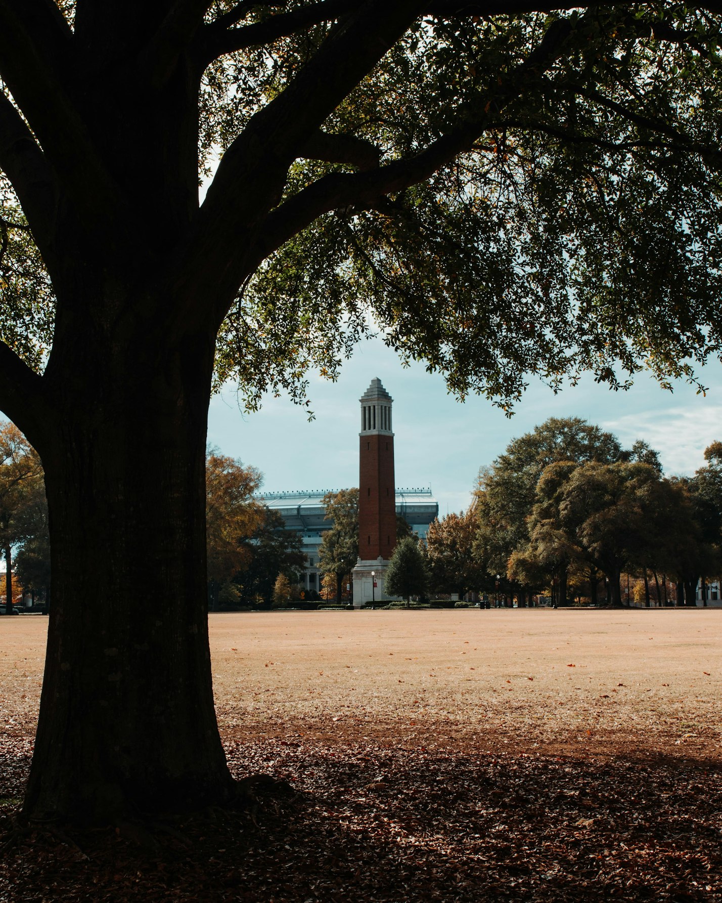 University of Alabama campus.