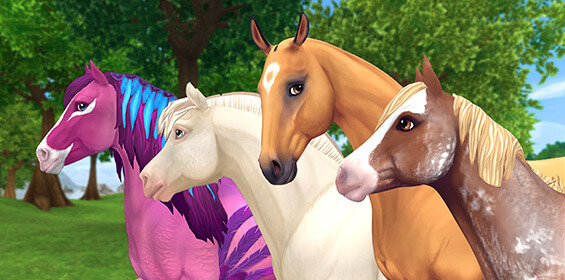 train your horses
