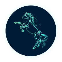 The Mare
