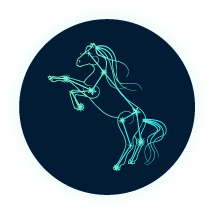 The Mare