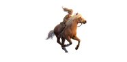 Star Coins Level Up Your Horse Adventures Star Stable