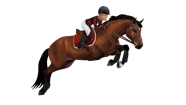 H M We Love Horses X Star Stable 2022 Star Stable