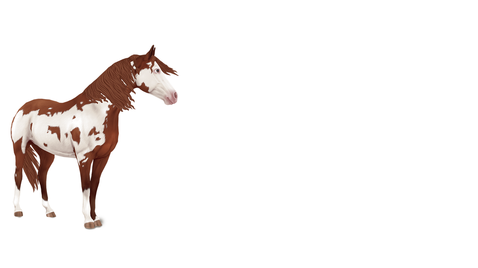 Horses of Jorvik The horses from the game Star Stable