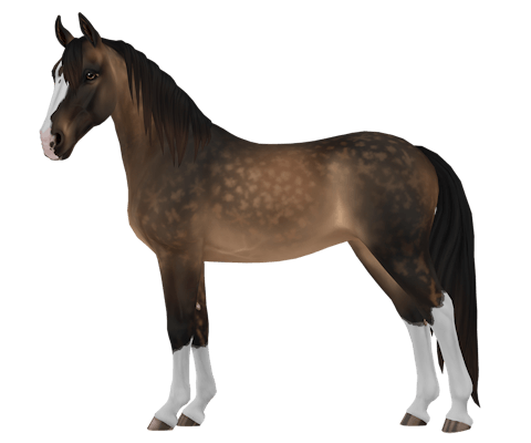 Tennesse Walker coat color