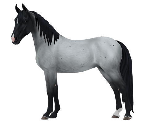 Tennessee Walker