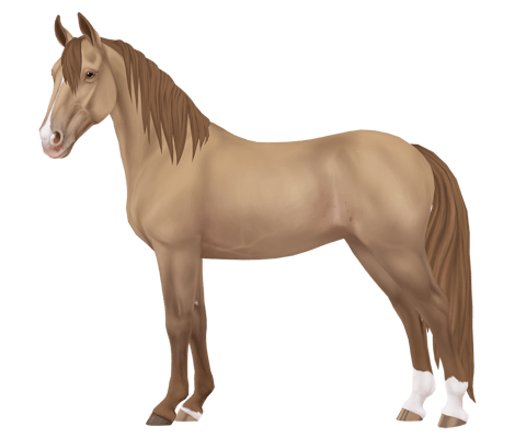 Tennessee Walker