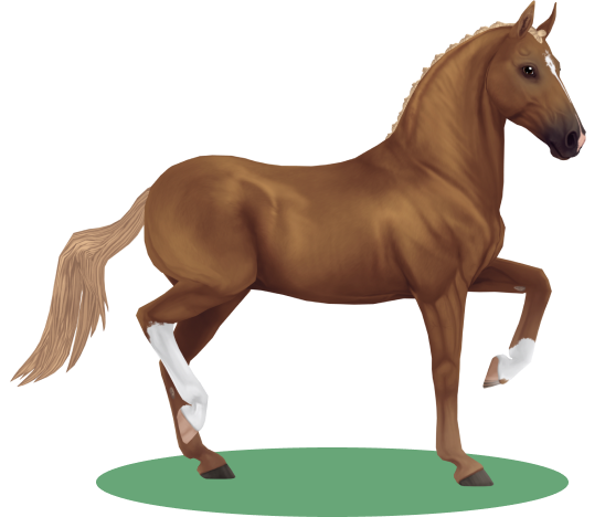 Starstable featured horse