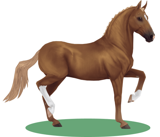 Starstable featured horse