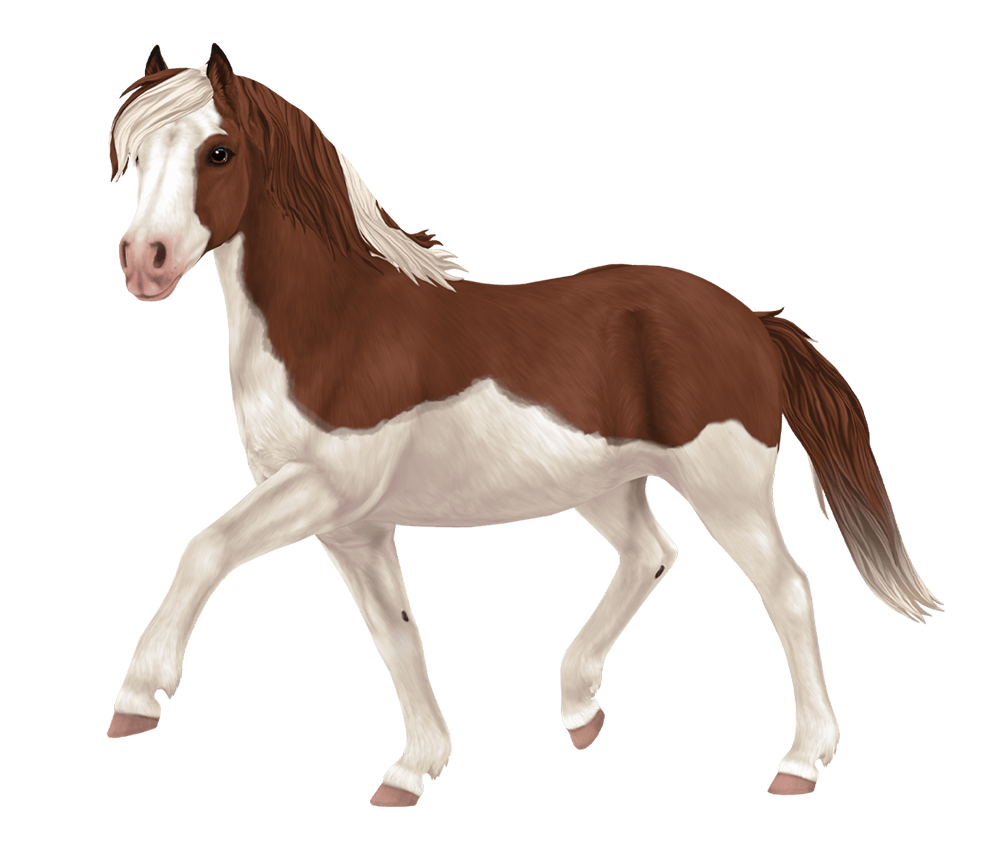Tennessee walker, horse breed of Jorvik | Star Stable