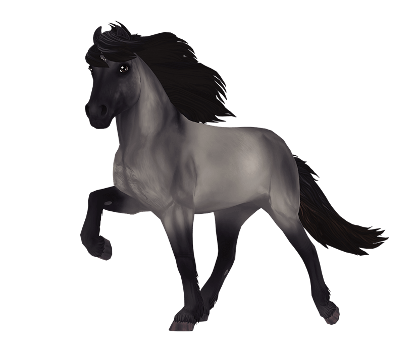 Where Are The Icelandic Horses In Star Stable