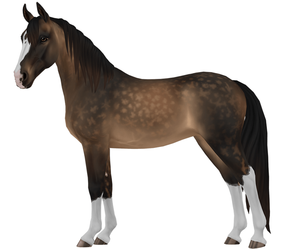 Tennessee walker, horse breed of Jorvik | Star Stable