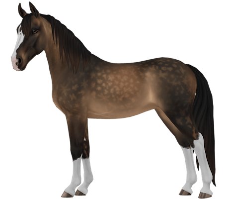 Tennessee Walker