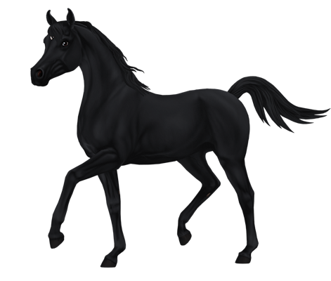 horse