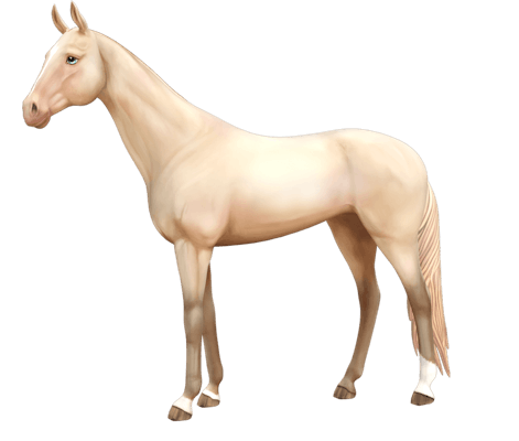 Akhal-Teke – Horse breeds of Jorvik