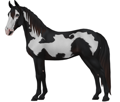 Tennessee Walker | Horse breed | Star Stable