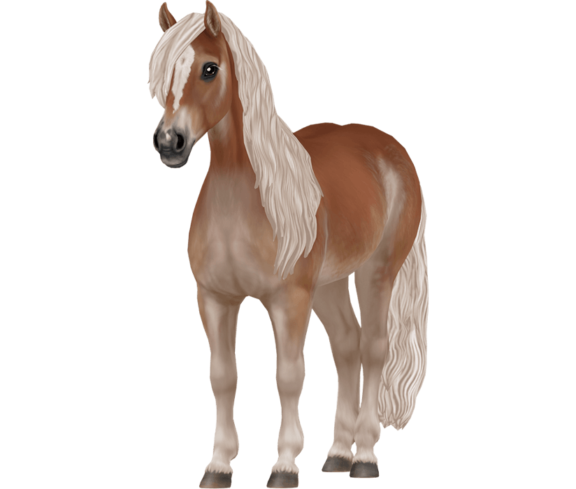 Haflinger Horse Breed Star Stable haflinger-horse-breed-star-stable