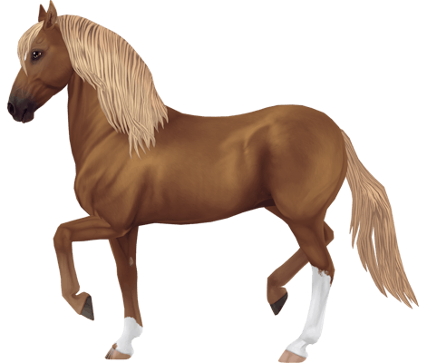 Paso Fino | Horse breed | Star Stable