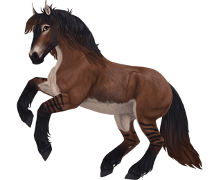250 ideias de Star Stable em 2023  cavalos, jogos de cavalos, filhote de  lobo