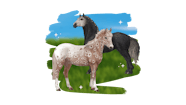 A Horse Game Online Full Of Adventures Star Stable
