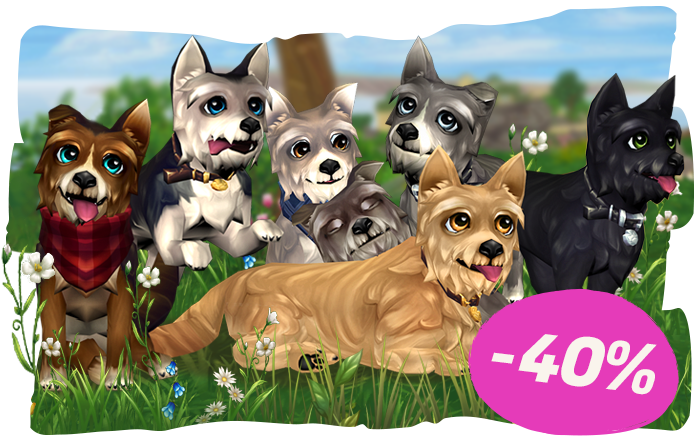 Cute pets