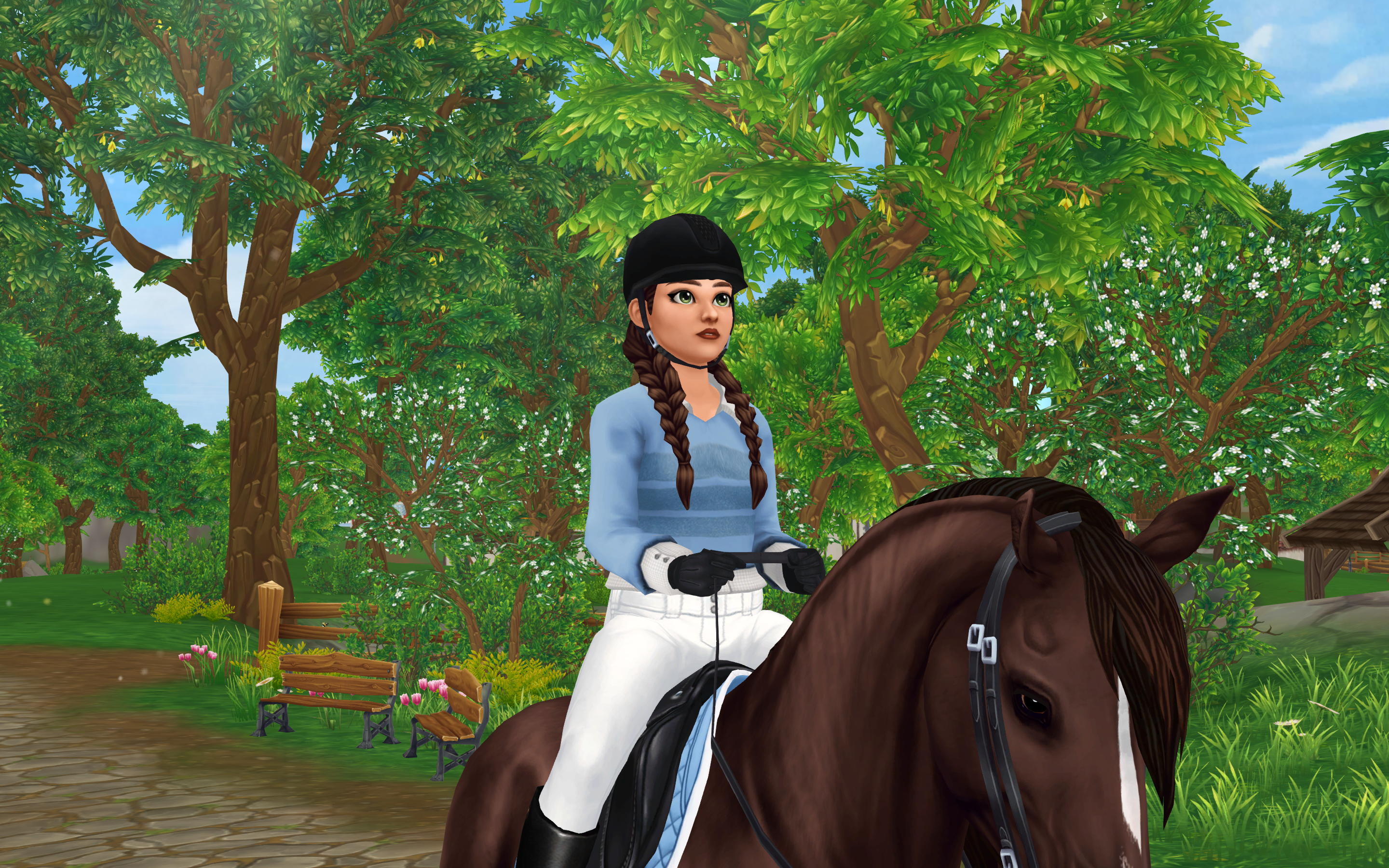 Player Character & Horse