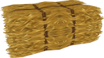 hay