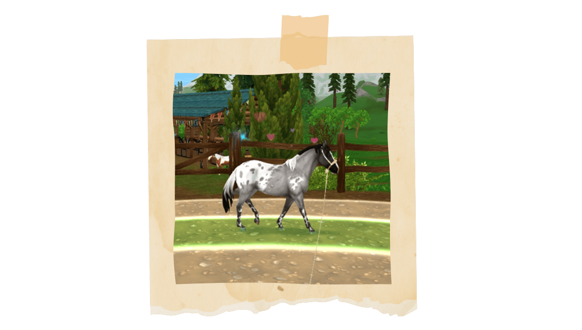 Lunging